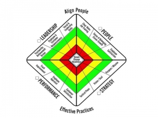 Dr. Cappy Leland: The Model of Organizational Health and Effectiveness